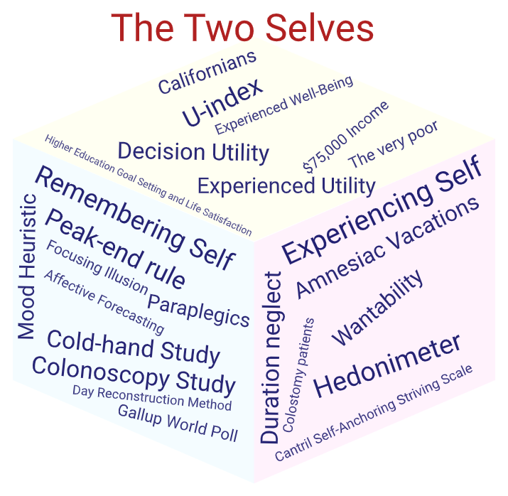 Two Selves Word Cloud from Thinking Fast and Slow Book
